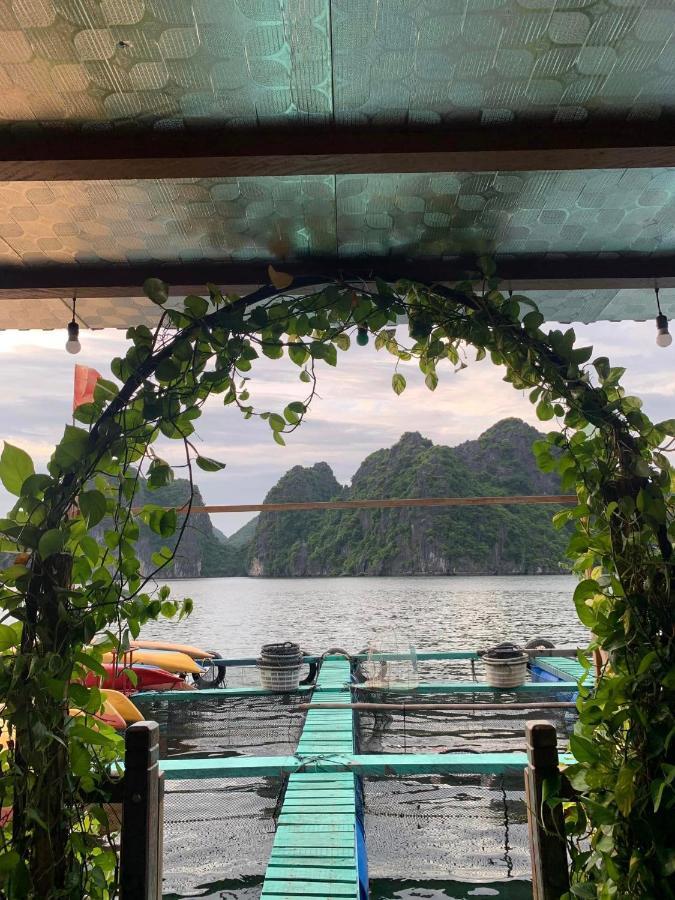 Eco Floating Farm Stay Cai Beo Chan Chau Exteriér fotografie